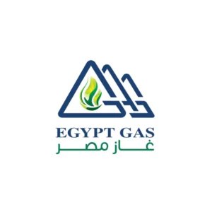 مشروع ديكور مشروع غاز مصر الذي نفذته شركة أيوب استيتية العالمية يشمل تنفيذ الأسقف الداخلية وتركيب الأرضيات المرتفعة وتوريد مواد الديكور.