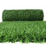 السياج العشبي - Grass fence