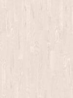 ASH NATUR ICE WHITE مطفي – مطلي باللكر (ورنيش)