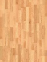 BEECH TREND مطلي باللكر (ورنيش)