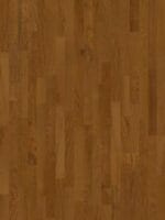 ASH CLASSIC BRANDY مطلي باللكر (ورنيش)