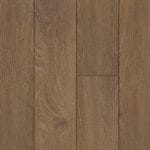COPPER CHESTNUT