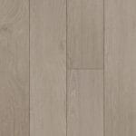 SANDY CHESTNUT