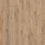 Clearwater Oak, GT