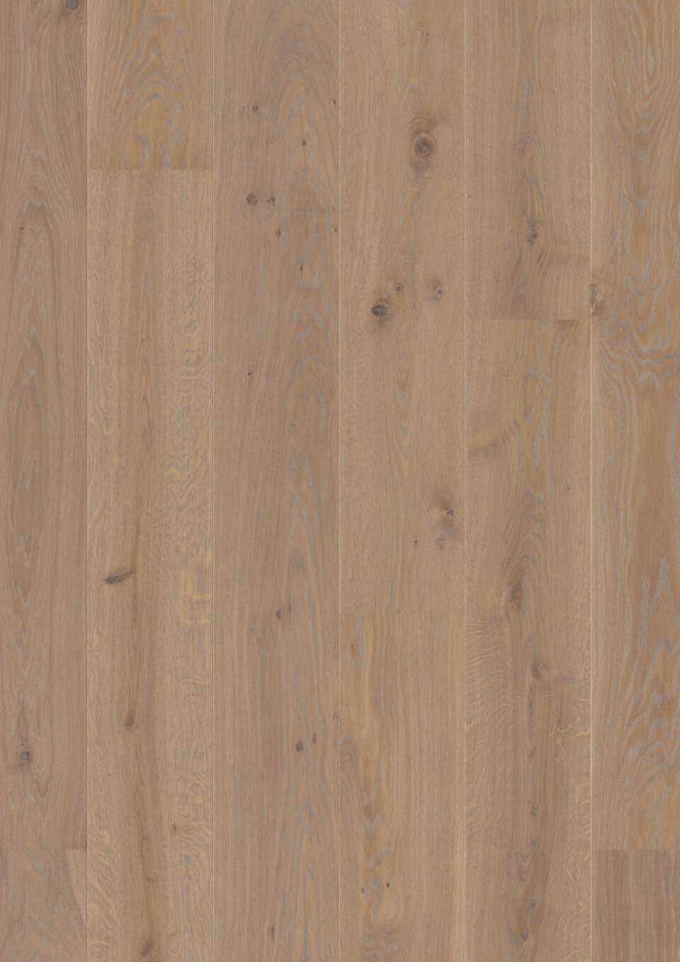 Plank Castle Oak Warm Grey Country Plank castle oak warm grey country - plank castle oak warm grey country