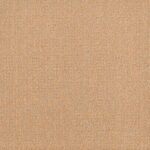 Color- T67611 Apricot