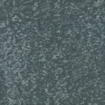 Color- T72805 Lichen