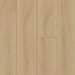 GALIAN OAK