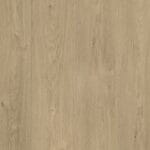 STEPPE