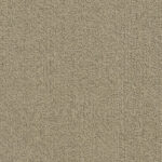 Color- T10101 Fossil