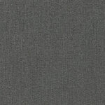 Color- T10111 Ash
