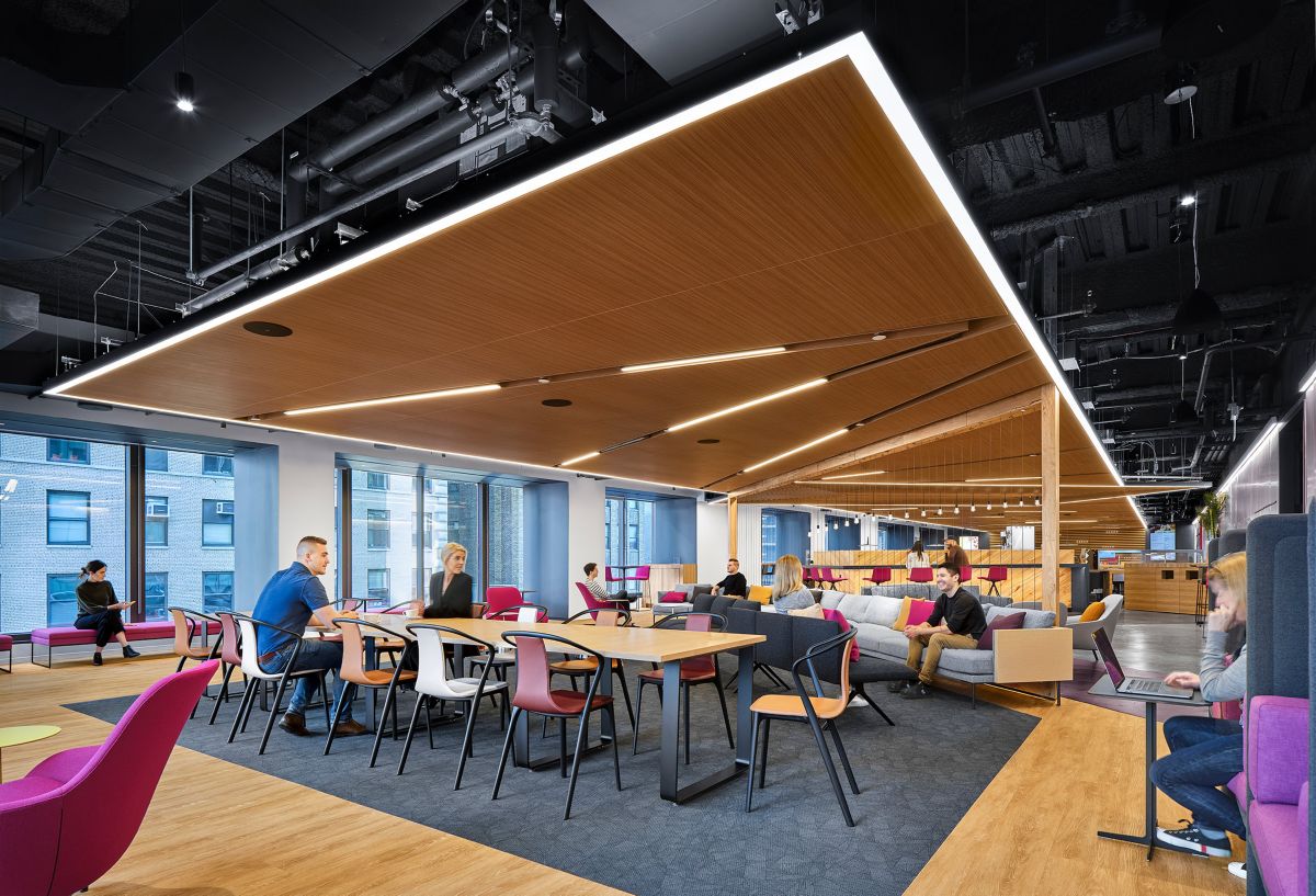 Ceilings-Plus-Design-Solutions-Illusions-1 Ceilings plus design solutions illusions 1 - ceilings plus® design solutions - illusions®