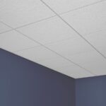 Eclipse™ Acoustical Panels