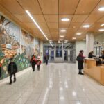 True® Wood Panels