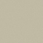 Acczent Platinium 100 - Ice DARK BEIGE