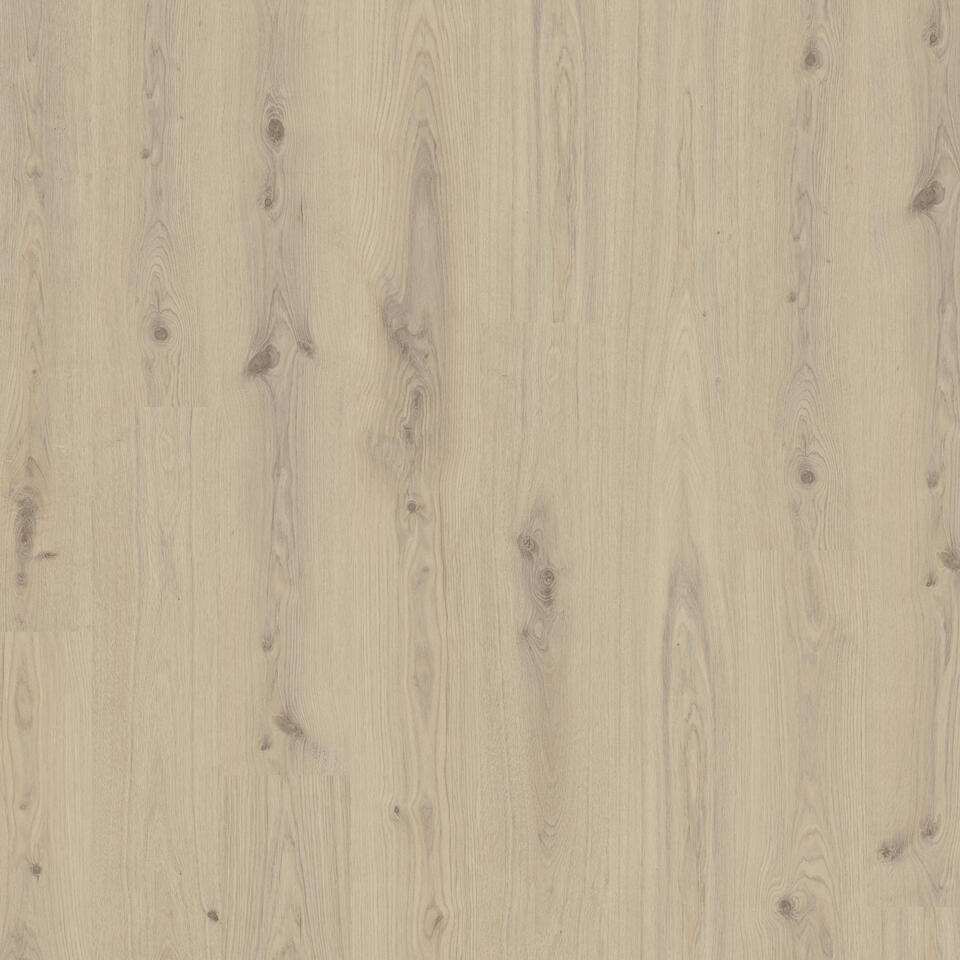 Th-Lvt-Id_Evolution_Rigid-Delicate_Oak_Desert.jpg id evolution rigid home - delicate oak desert - الصورة 1