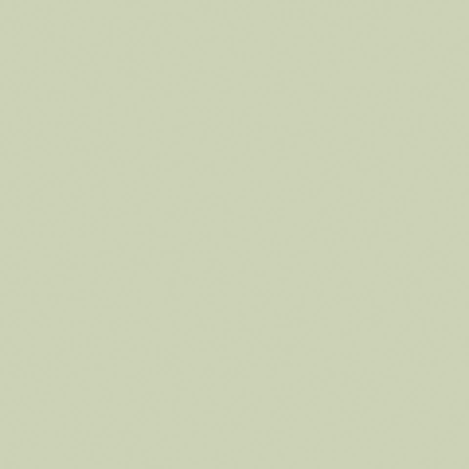 Th-Protectwall-Uni_Kaki.jpg #! Trpst#trp-gettext data-trpgettextoriginal=6384#! Trpen#protectwall (1. 5 mm) - uni kaki - image 1#! Trpst#/trp-gettext#! Trpen#