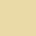 ProtectWall (1.5 mm) - Uni OCHRE