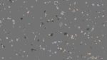 iQ Motion - MOTION DARK GREY 0404 - Image 2