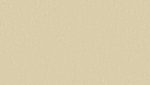 Style Emme xf² Sicuro - R10 Slip resistance - Style Emme PEARL 401 - Image 2