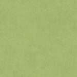 Tapiflex Essential 50 - Stamp GREEN