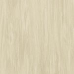 Vylon Plus - Vylon CHAMPAGNE 0595