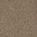 Airmaster Earth - Airmaster Earth AD31 2023