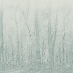 Aquarelle Wall HFS - Forestic AQUA GREEN