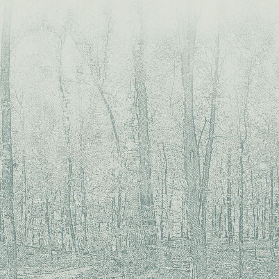 Th_Aquarelle_Wall_Hfs_Forestic_Aqua_Green.jpg #! Trpst#trp-gettext data-trpgettextoriginal=6384#! Trpen#aquarelle wall hfs - forestic aqua green - image 1#! Trpst#/trp-gettext#! Trpen#