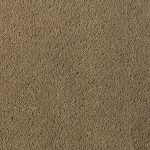 Asteranne - Asteranne A411 2923