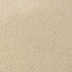 Asteranne - Asteranne A411 2926