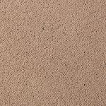 Asteranne - Asteranne A411 2946