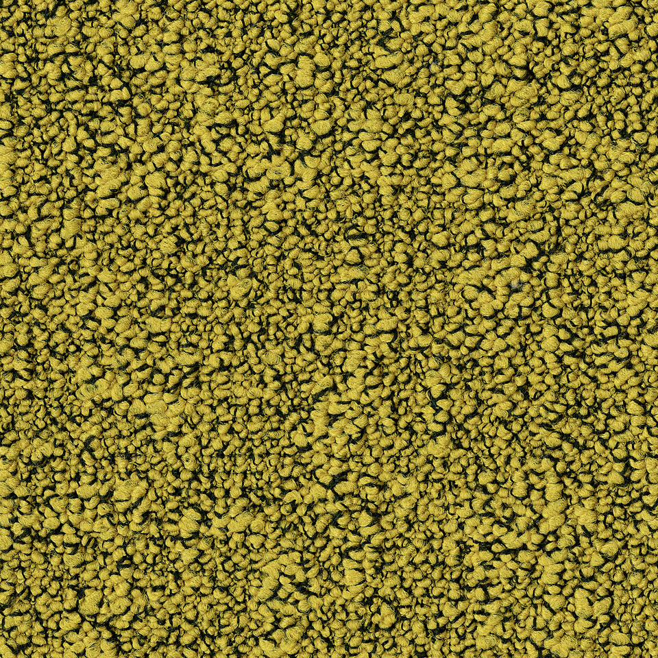Th_Fields_6218.Jpg fields - fields b751 6218 - الصورة 1