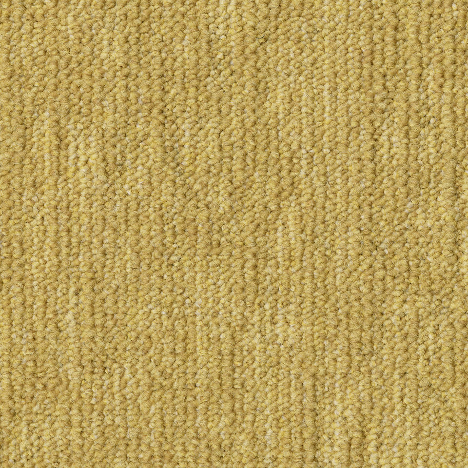 Th_Grain_6116.Jpg grain - grain b867 6116 - الصورة 1