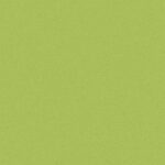 Eclipse Premium - Eclipse LIME GREEN 0731