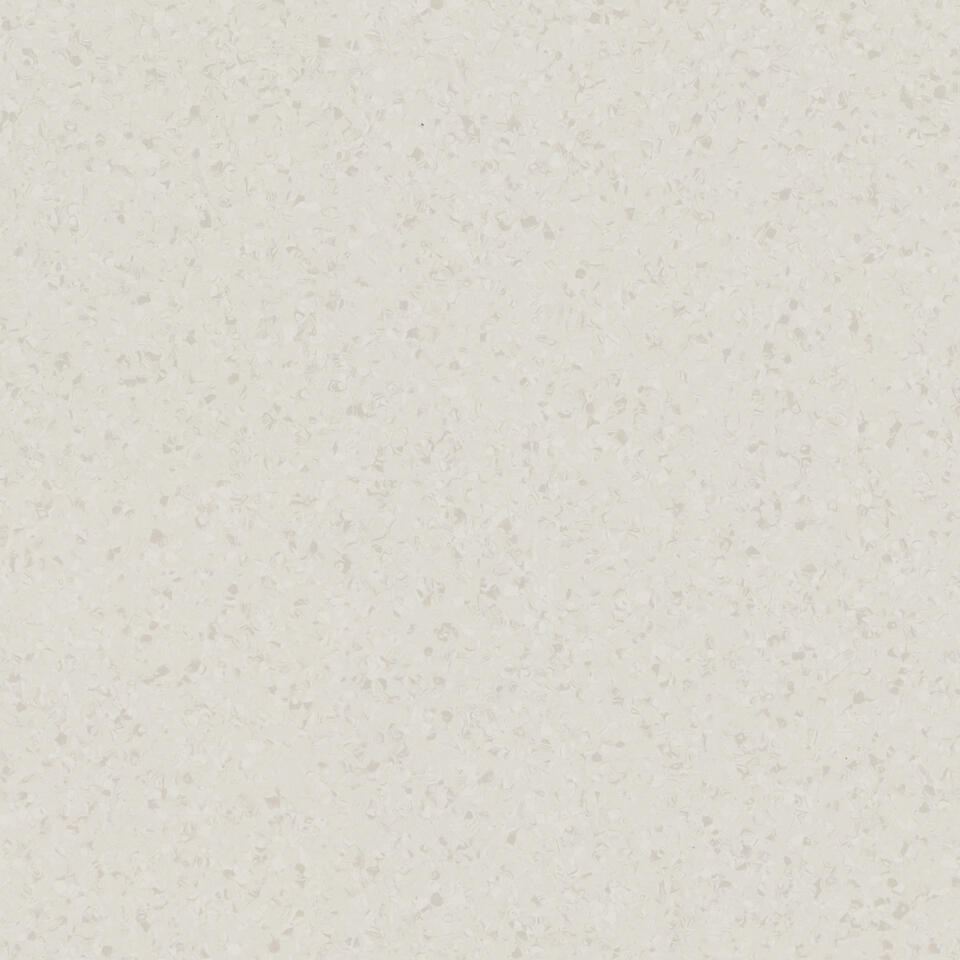 Th_Ho_Iq_Surface_Solid_Seashell.jpg #! Trpst#trp-gettext data-trpgettextoriginal=6384#! Trpen#iq surface acoustic - surface solid seashell 0092 - image 1#! Trpst#/trp-gettext#! Trpen#
