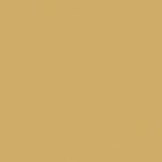 Etrusco xf² (2.5mm) - Etrusco HONEY 012