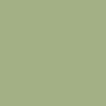 Etrusco xf² (2.5mm) - Etrusco OLIVE 055