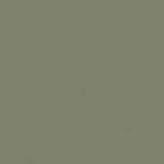Etrusco xf² Bfl (2.5mm) - Etrusco CROCODILE 091