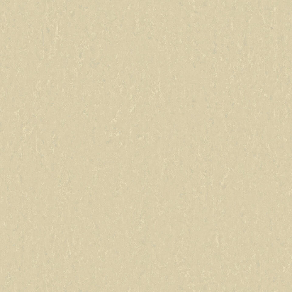 Th_Li_Linoleum_Style-Emme_401_Pearl.jpg #! Trpst#trp-gettext data-trpgettextoriginal=6384#! Trpen#style emme xf² sicuro - r10 slip resistance - style emme pearl 401 - image 1#! Trpst#/trp-gettext#! Trpen#