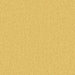 Style Emme xf²- 2,5mm - Style Emme GOLD 728 (Until Jan 2027)