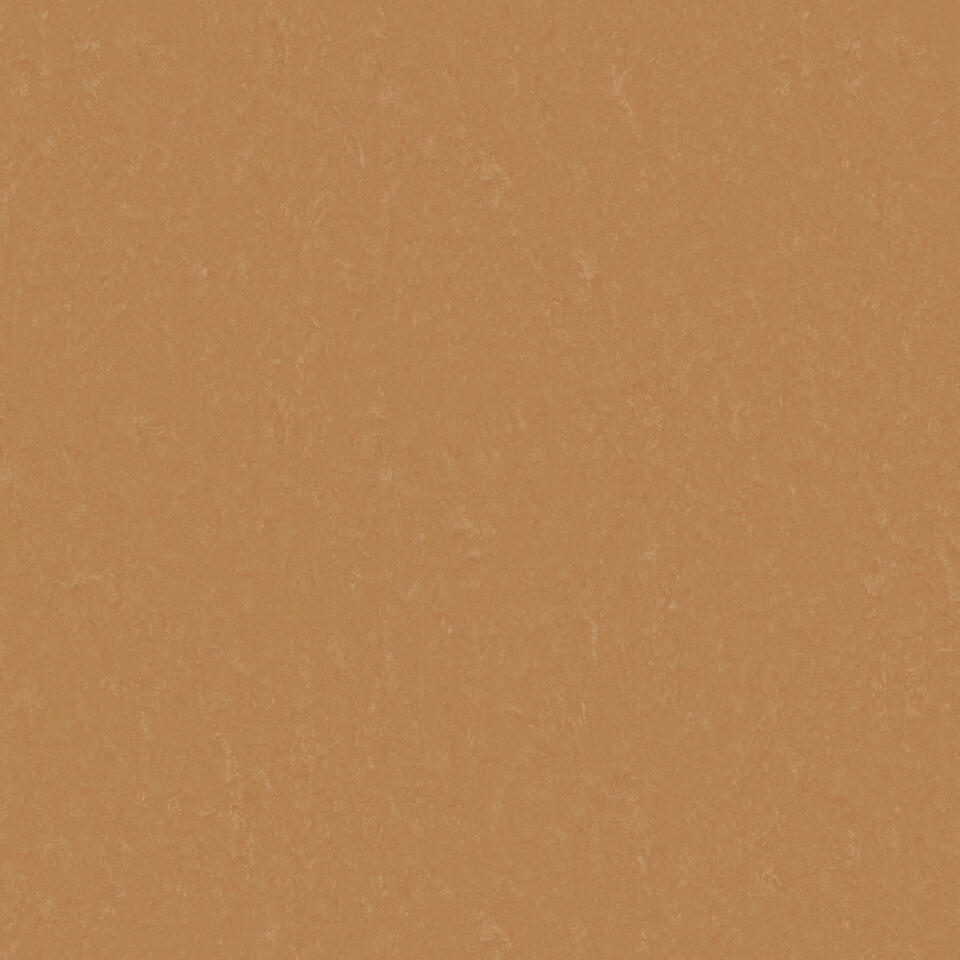 Th_Li_Linoleum_Style-Emme_734_Fox.jpg style emme xf²- 2,5mm - style emme fox 734 - الصورة 1