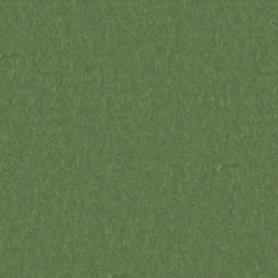 Th_Li_Linoleum_Style-Emme_796_Pine.jpg style emme xf²- 2,5mm - style emme pine 796 (until jan 2027) - الصورة 1