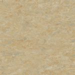 Veneto xf² (2.5mm) - Veneto CAMEL 616
