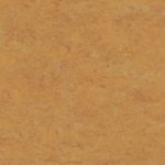 Veneto xf² Bfl (2.5mm) - Veneto AMBER 636