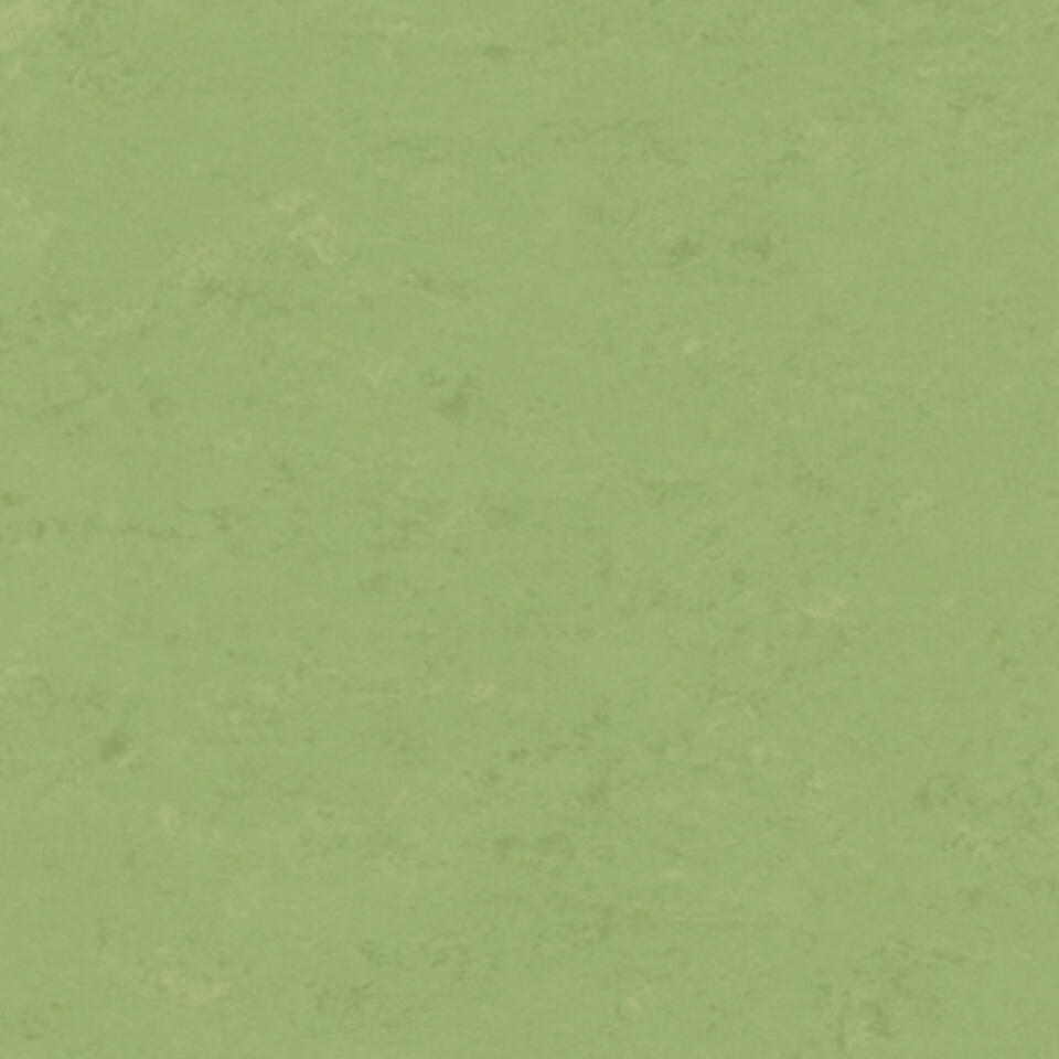 Th_Li_Linoleum_Veneto_754_Apple-Green.jpg veneto xf² bfl (2. 5mm) - veneto apple green 754 - الصورة 1
