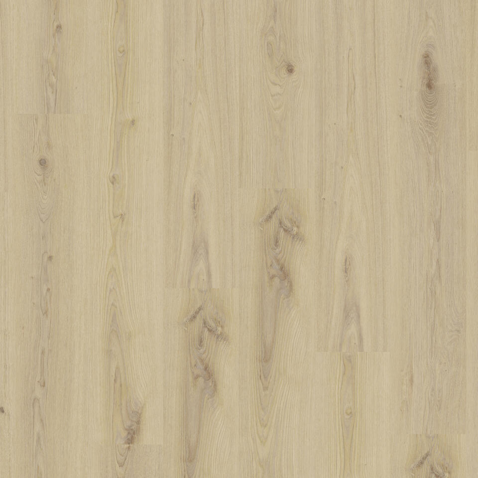 Th_Lvt_Tarkett_Living_Primary_Oak_Beige.jpg #! Trpst#trp-gettext data-trpgettextoriginal=6384#! Trpen#tarkett living 30-55 - primary oak beige - image 1#! Trpst#/trp-gettext#! Trpen#