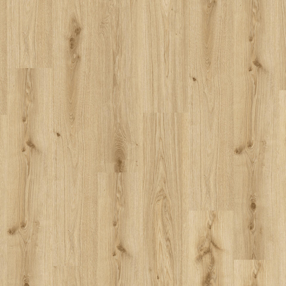 Th_Lvt_Tarkett_Living_Primary_Oak_Light_Brown.jpg tarkett living 30-55 - primary oak light brown - الصورة 1