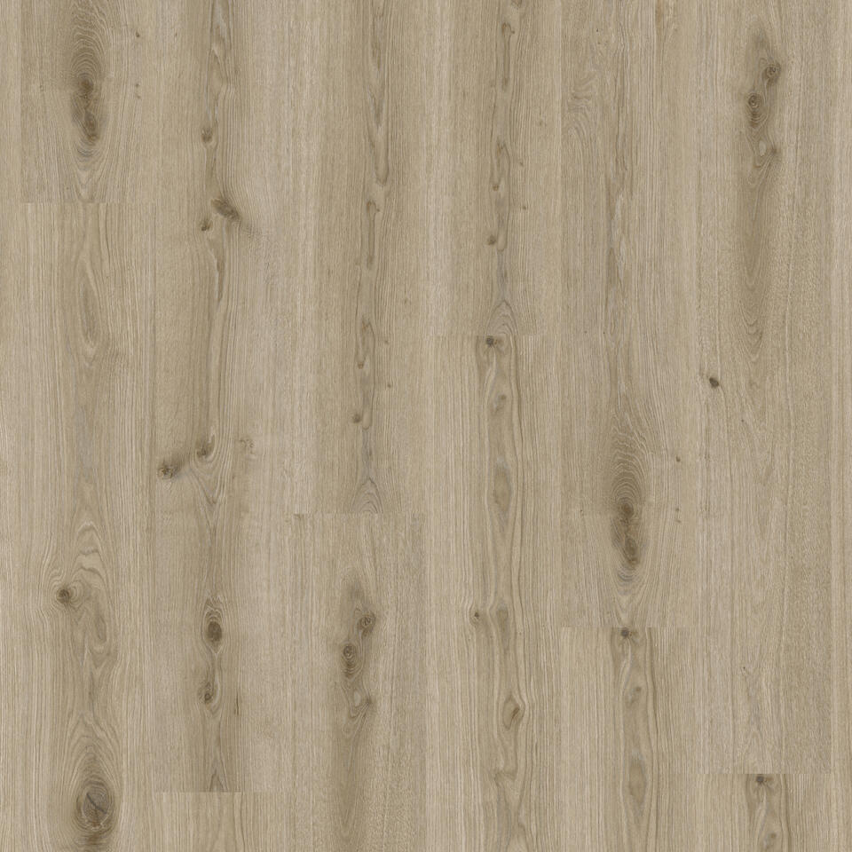 Th_Lvt_Tarkett_Living_Primary_Oak_Light_Grey.jpg #! Trpst#trp-gettext data-trpgettextoriginal=6384#! Trpen#tarkett living 30-55 - primary oak light grey - image 1#! Trpst#/trp-gettext#! Trpen#