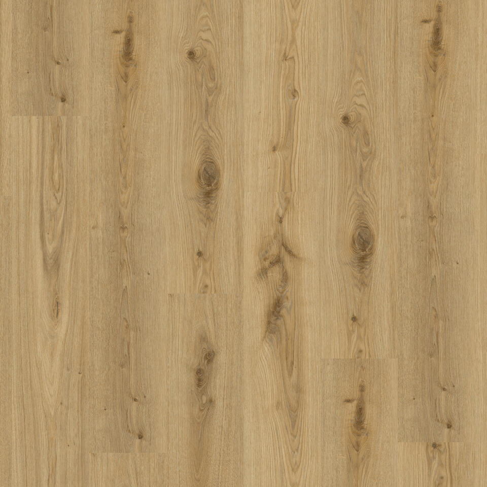 Th_Lvt_Tarkett_Living_Primary_Oak_Natural.jpg #! Trpst#trp-gettext data-trpgettextoriginal=6384#! Trpen#tarkett living 30-55 - primary oak natural - image 1#! Trpst#/trp-gettext#! Trpen#